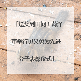送奖到田间！菏泽市举行见义勇为先进分子表彰仪式
