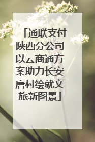 通联支付陕西分公司以云商通方案助力长安唐村绘就文旅新图景