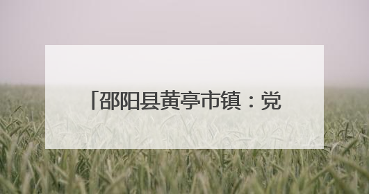 邵阳县黄亭市镇：党员化身禁毒“多面手” 织密禁毒防护网