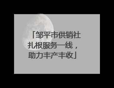 邹平市供销社扎根服务一线，助力丰产丰收