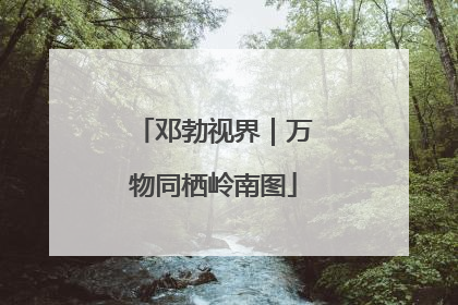 邓勃视界｜万物同栖岭南图