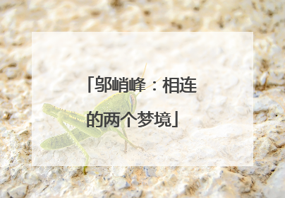 邬峭峰：相连的两个梦境