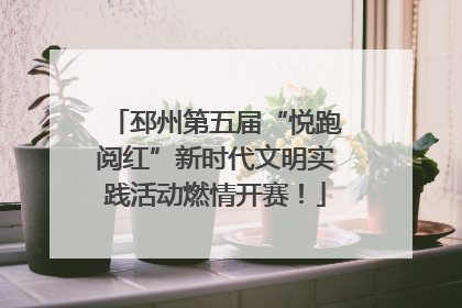 邳州第五届“悦跑阅红”新时代文明实践活动燃情开赛！