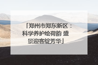 郑州市郑东新区：科学养护绘荷韵 盛景迎客绽芳华