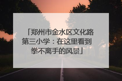 郑州市金水区文化路第三小学：在这里看到拳不离手的风景