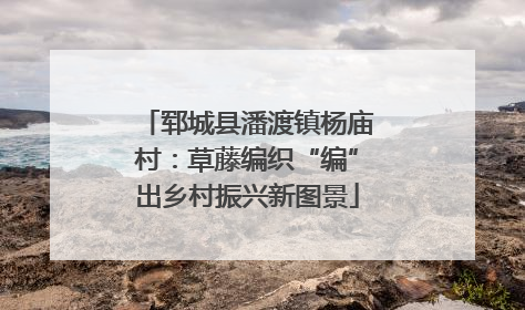 郓城县潘渡镇杨庙村：草藤编织“编”出乡村振兴新图景