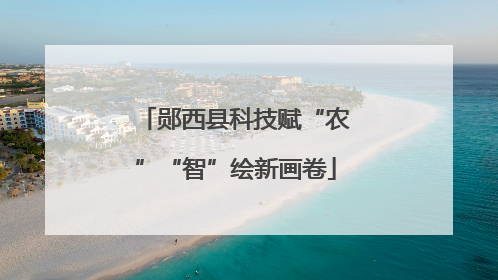 郧西县科技赋“农”“智”绘新画卷