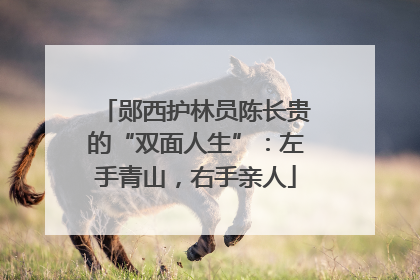 郧西护林员陈长贵的“双面人生”：左手青山，右手亲人