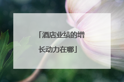 酒店业绩的增长动力在哪