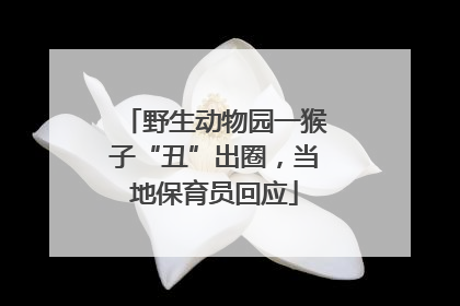 野生动物园一猴子“丑”出圈，当地保育员回应