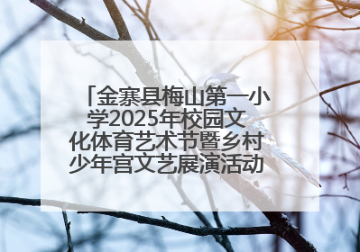 金寨县梅山第一小学2025年校园文化体育艺术节暨乡村少年宫文艺展演活动圆满落幕
