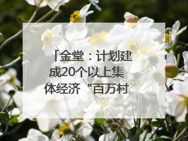 金堂：计划建成20个以上集体经济“百万村”｜成都县市新城高质量发展