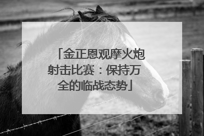 金正恩观摩火炮射击比赛：保持万全的临战态势
