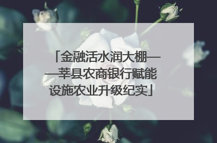 金融活水润大棚——莘县农商银行赋能设施农业升级纪实