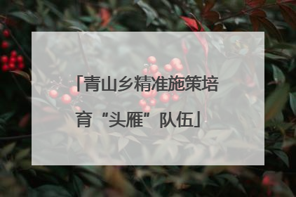青山乡精准施策培育“头雁”队伍