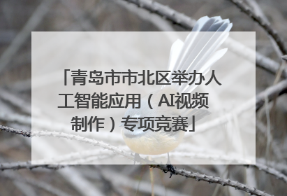 青岛市市北区举办人工智能应用（AI视频制作）专项竞赛