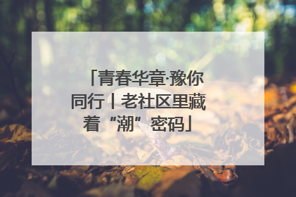 青春华章·豫你同行丨老社区里藏着“潮”密码