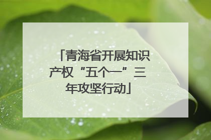 青海省开展知识产权“五个一”三年攻坚行动