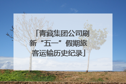 青藏集团公司刷新“五一”假期旅客运输历史纪录