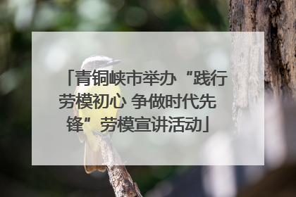 青铜峡市举办“践行劳模初心 争做时代先锋”劳模宣讲活动
