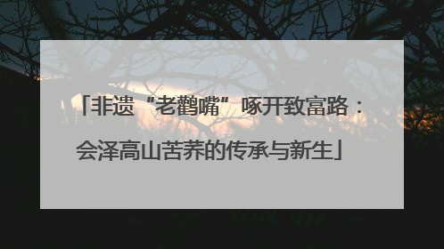 非遗“老鹳嘴”啄开致富路：会泽高山苦荞的传承与新生