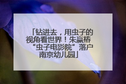 钻进去，用虫子的视角看世界！朱赢椿“虫子电影院”落户南京幼儿园