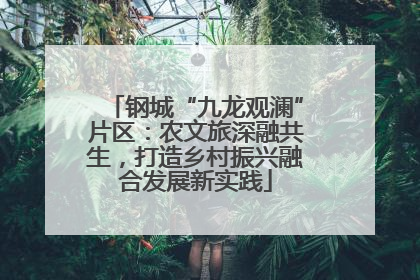 钢城“九龙观澜”片区：农文旅深融共生，打造乡村振兴融合发展新实践