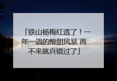 铁山杨梅红透了！一年一遇的酸甜风暴 再不来就真错过了