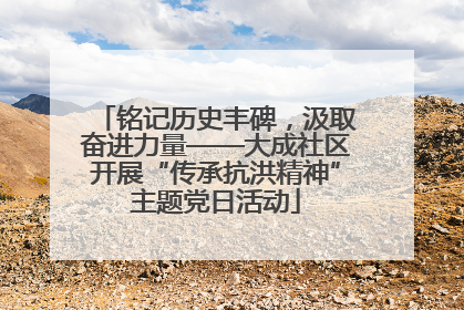 铭记历史丰碑，汲取奋进力量——大成社区开展“传承抗洪精神”主题党日活动