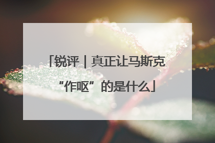 锐评｜真正让马斯克“作呕”的是什么