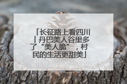 长征路上看四川丨丹巴美人谷里多了“美人脆”，村民的生活更甜美