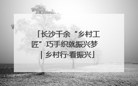 长沙千余“乡村工匠”巧手织就振兴梦｜乡村行·看振兴