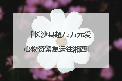 长沙县超75万元爱心物资紧急运往湘西