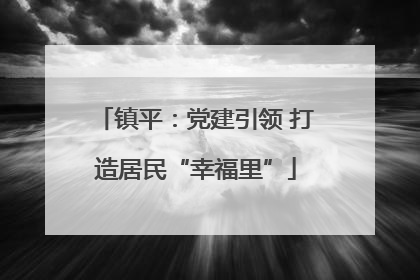 镇平：党建引领 打造居民“幸福里”