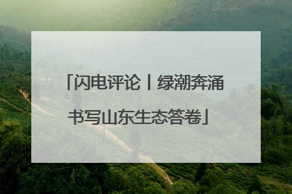 闪电评论丨绿潮奔涌 书写山东生态答卷