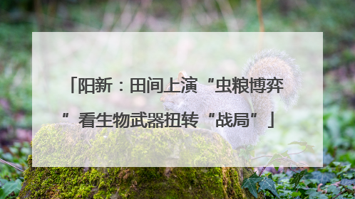 阳新：田间上演“虫粮博弈”看生物武器扭转“战局”