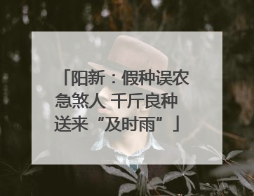 阳新：假种误农急煞人 千斤良种送来“及时雨”