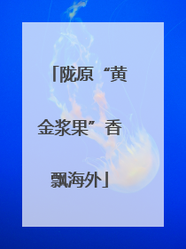 陇原“黄金浆果”香飘海外