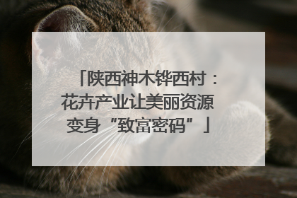 陕西神木铧西村：花卉产业让美丽资源变身“致富密码”