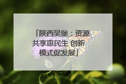 陕西吴堡：资源共享惠民生 创新模式促发展