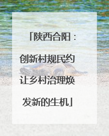 陕西合阳：创新村规民约让乡村治理焕发新的生机