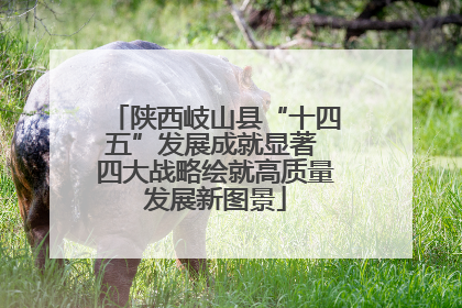 陕西岐山县“十四五”发展成就显著 四大战略绘就高质量发展新图景