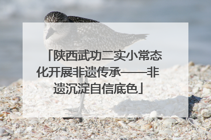 陕西武功二实小常态化开展非遗传承——非遗沉淀自信底色