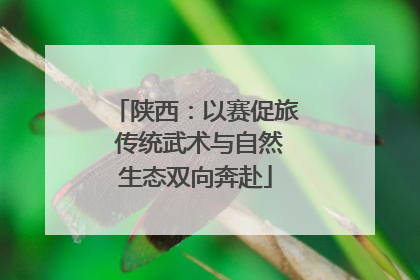 陕西：以赛促旅 传统武术与自然生态双向奔赴