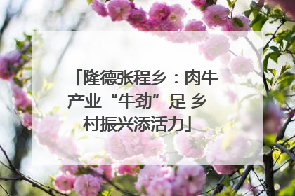 隆德张程乡：肉牛产业“牛劲”足 乡村振兴添活力