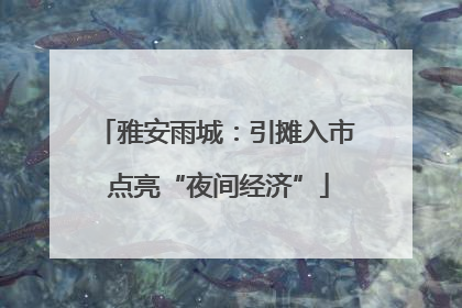 雅安雨城：引摊入市 点亮“夜间经济”