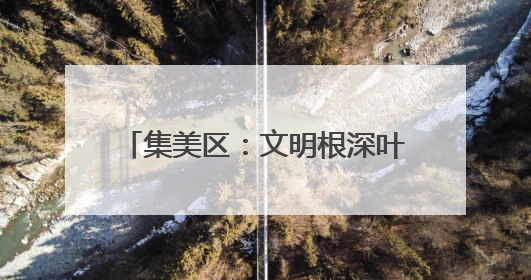 集美区：文明根深叶茂 幸福可感可触