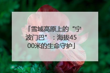 雪域高原上的“宁波门巴”：海拔4500米的生命守护