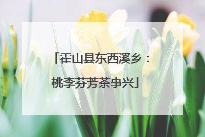 霍山县东西溪乡：桃李芬芳茶事兴
