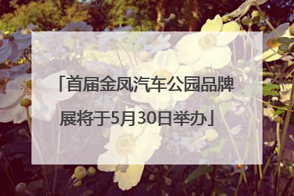 首届金凤汽车公园品牌展将于5月30日举办